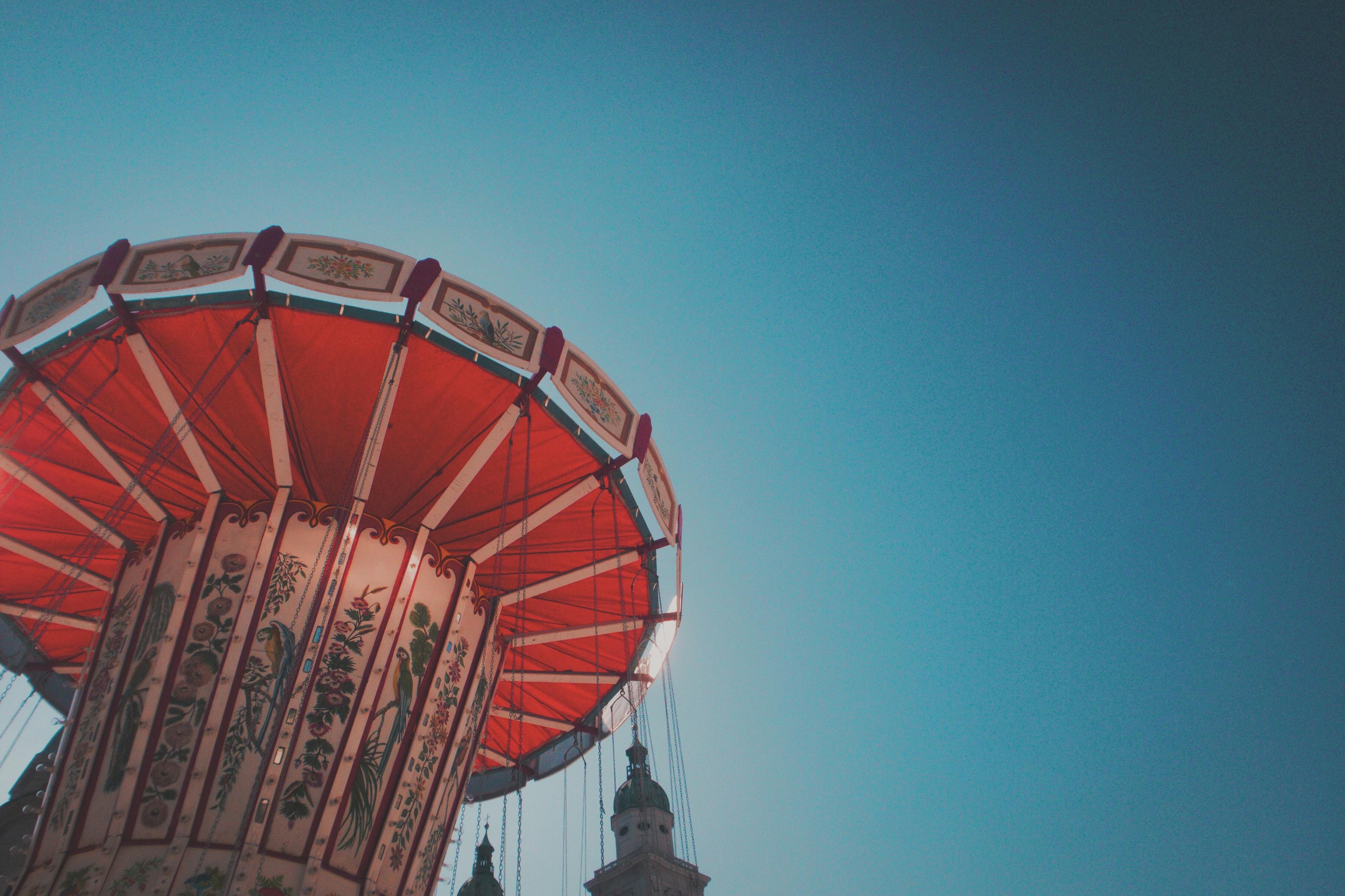 陕西最新花生价格动态解析及市场分析