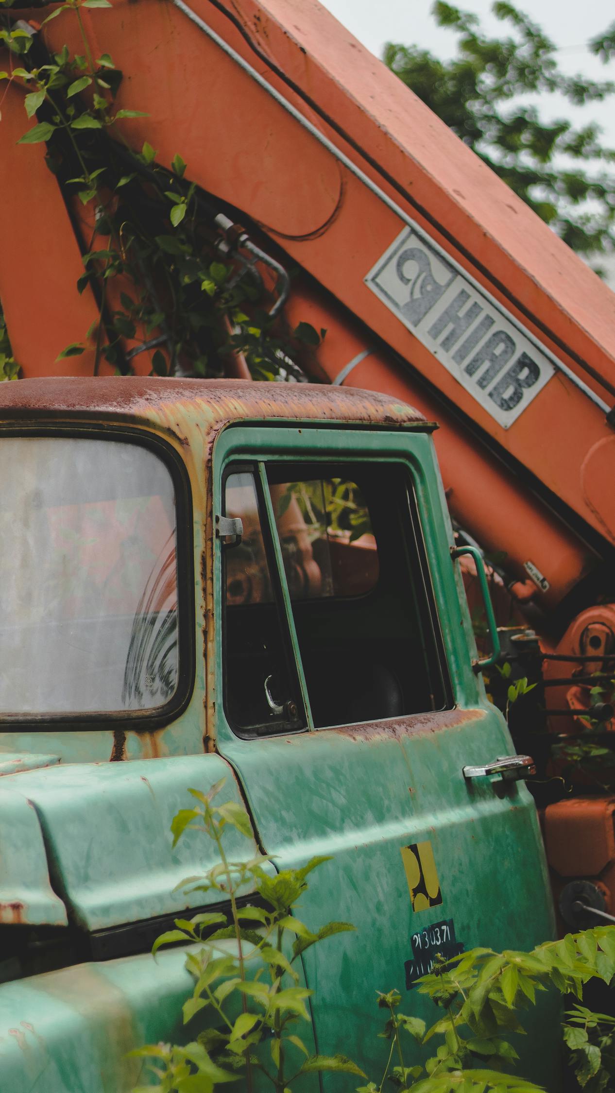 两会聚焦,最新省份动态与地方发展的美好未来展望