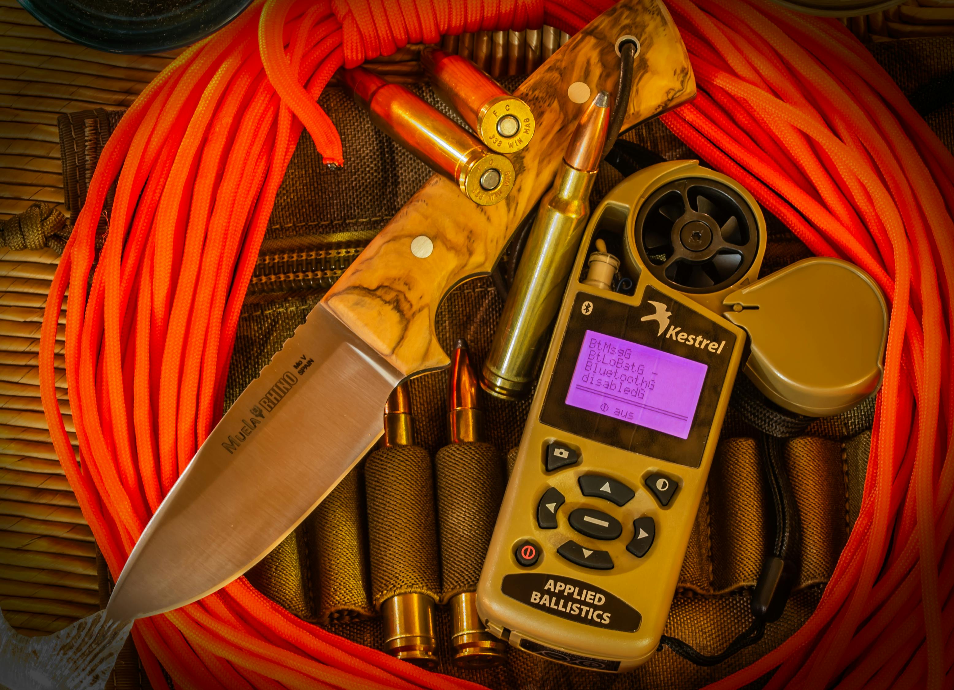 新疆疫情最新动态,坚定信心,共克时艰,共抗疫情挑战