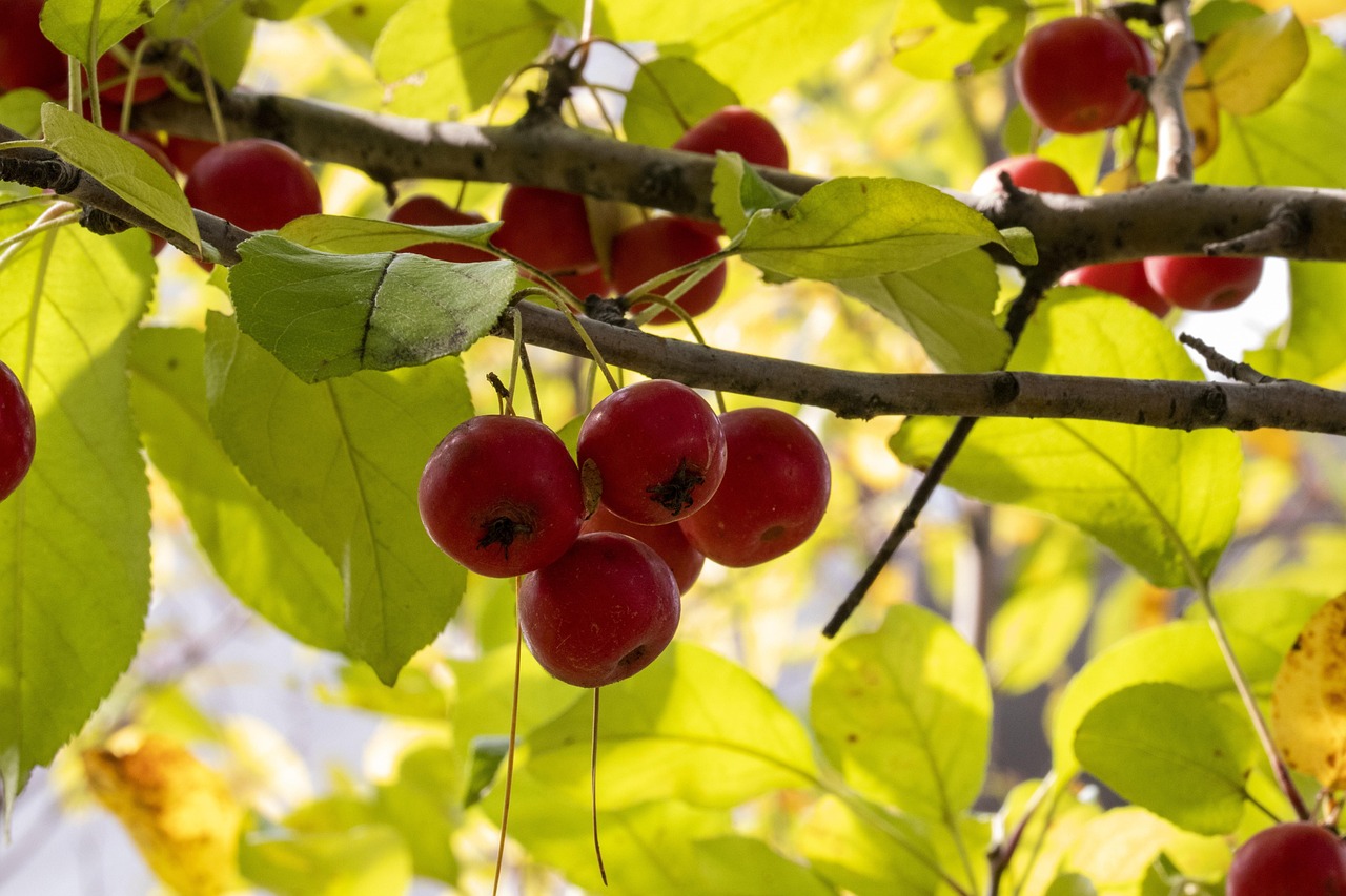 台湾立法院最新动态及前景展望