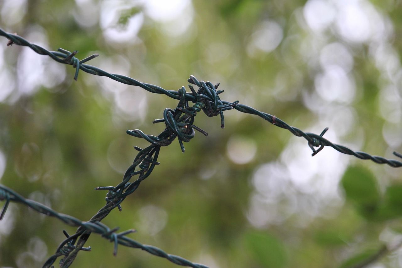 中印边境局势最新动态，地区安全挑战与应对策略