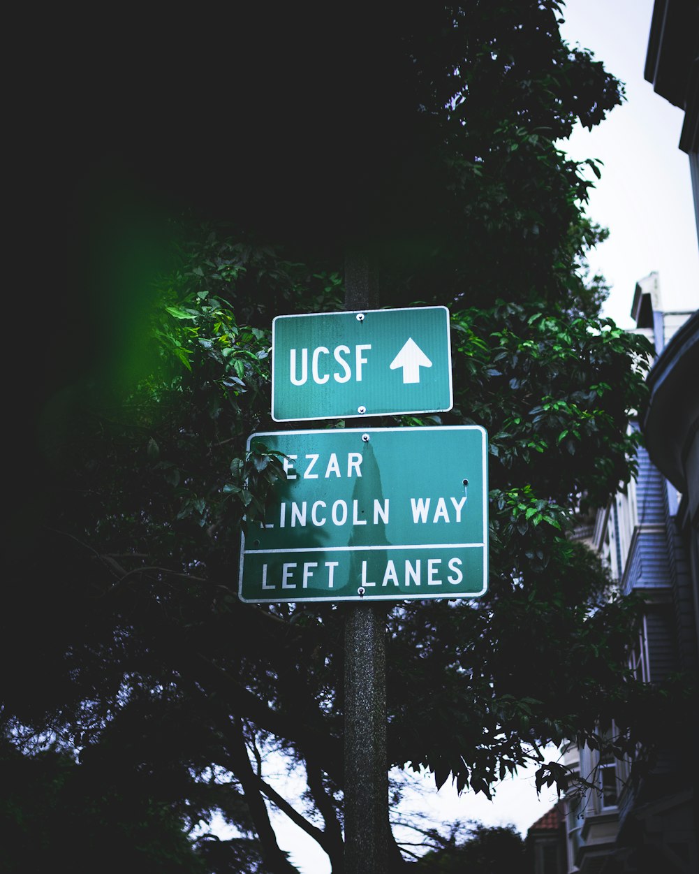 马口最新房价动态及市场趋势分析预测