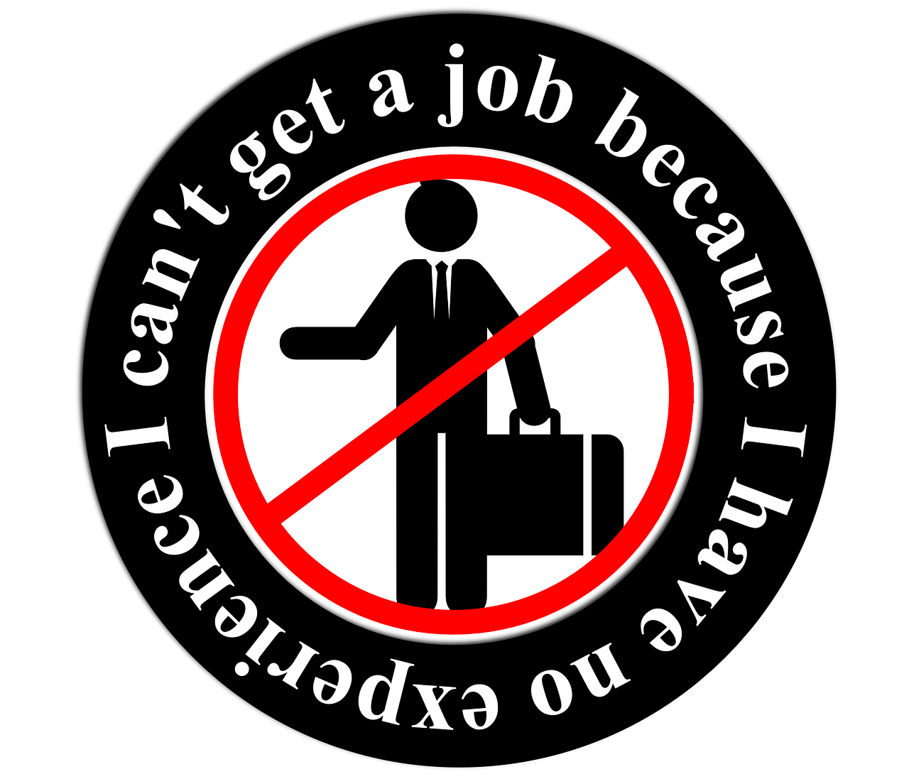 网约车司机最新动态，行业变革中的新角色挑战与适应策略