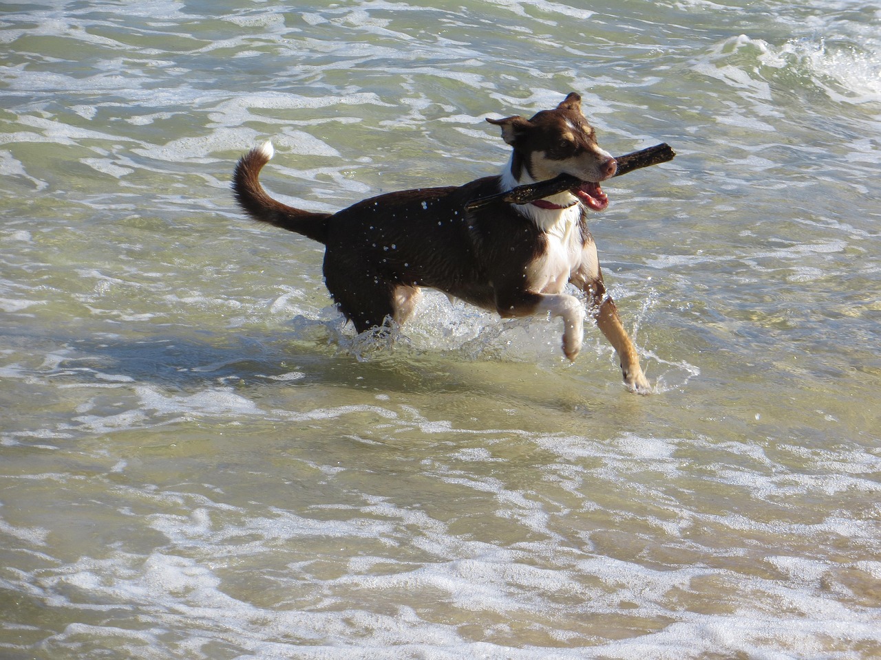 五华赌博最新动态,警醒与行动的开始