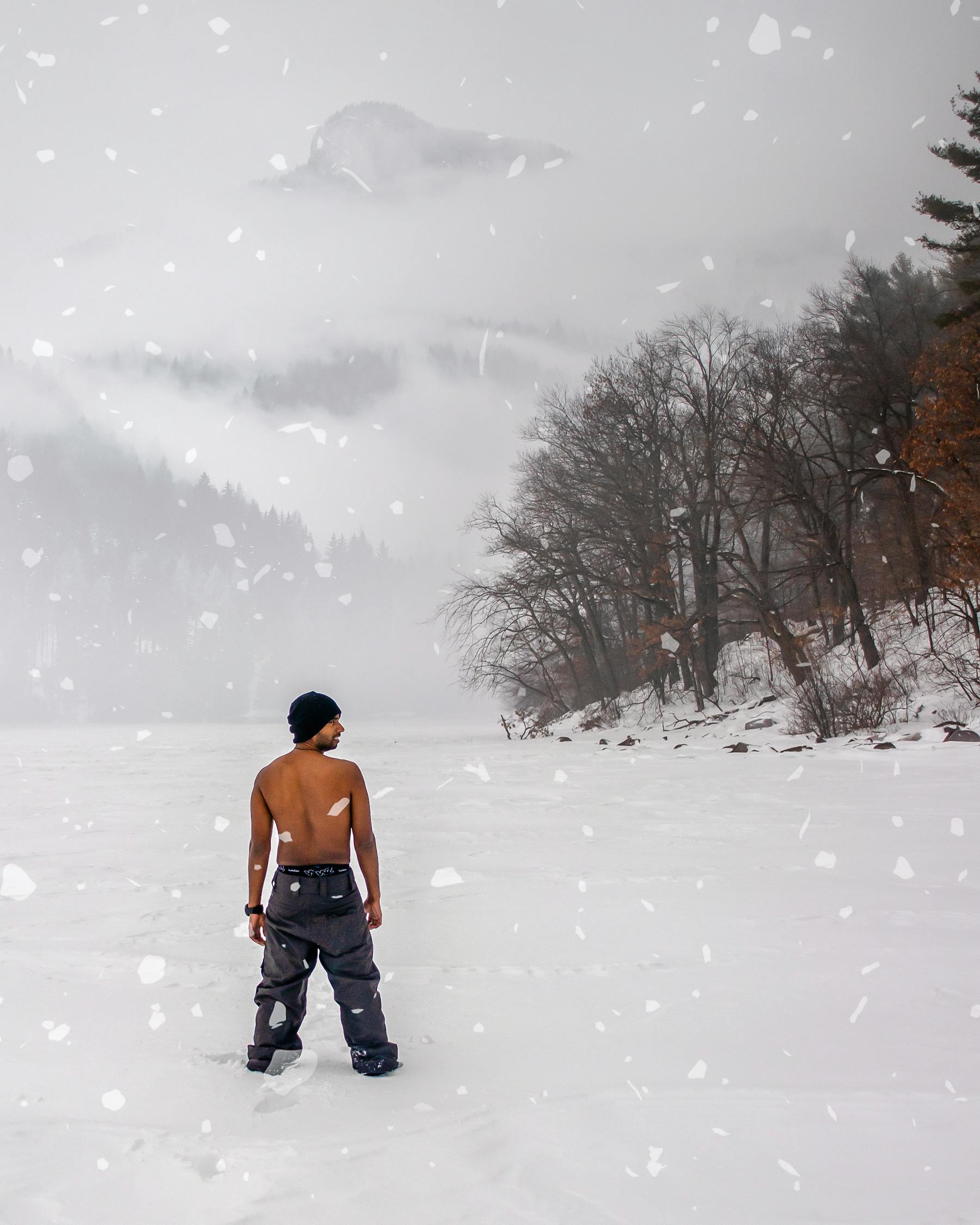 威斯康星州选票最新动态分析与更新