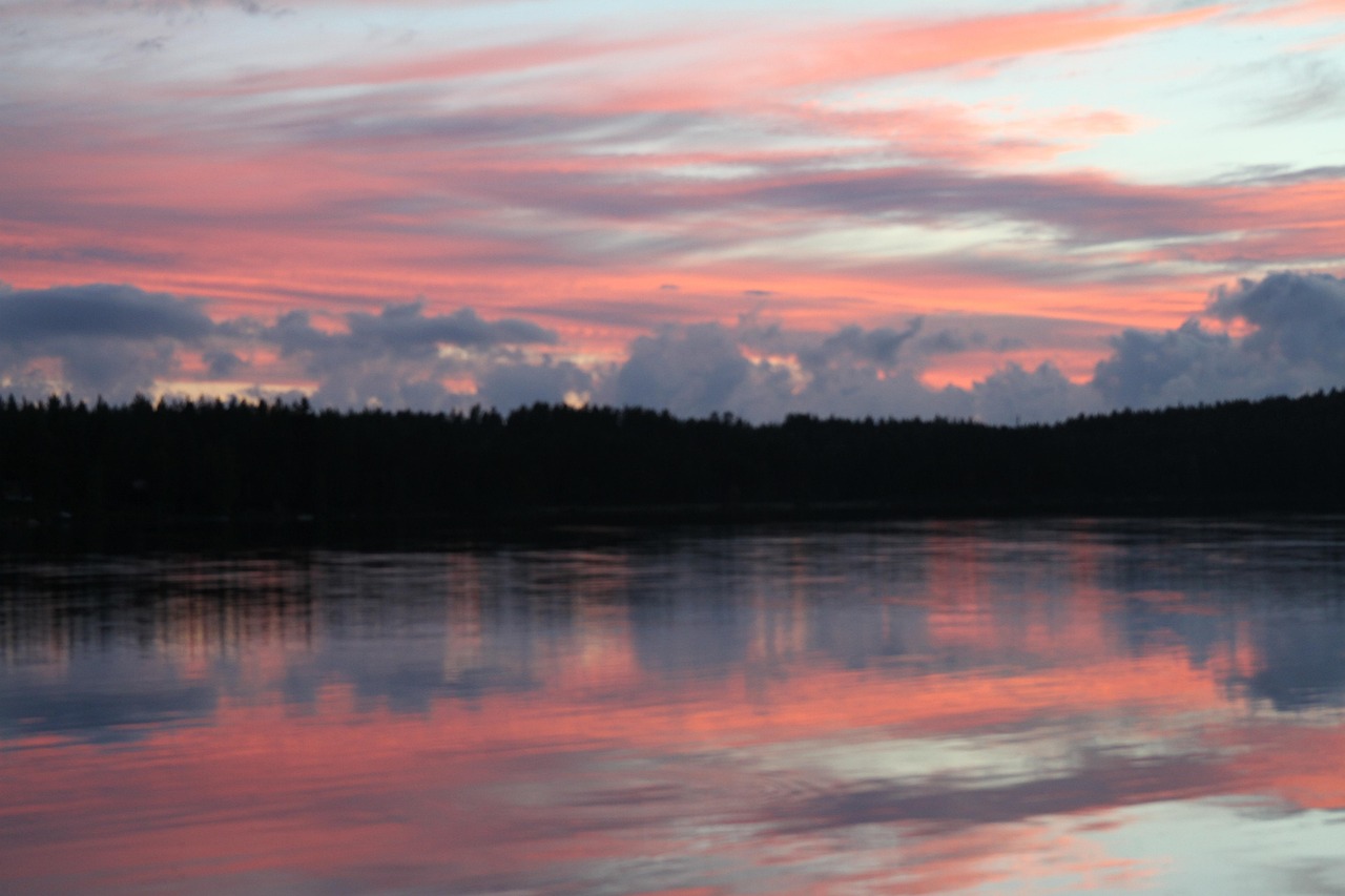 紫光集团美元债最新动态解析,最新消息与分析摘要