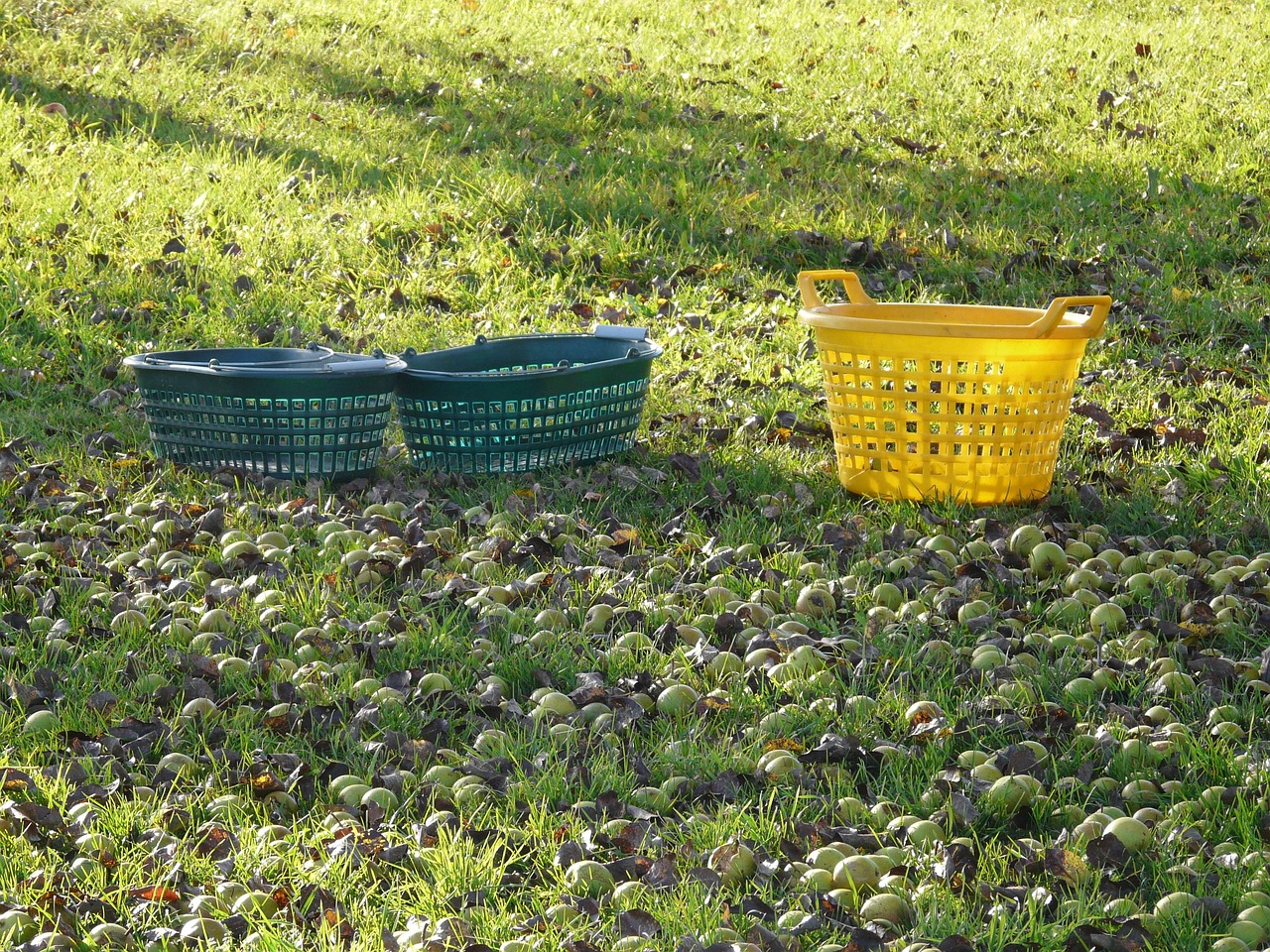 辽农经最新版,引领农业经济发展的新动力