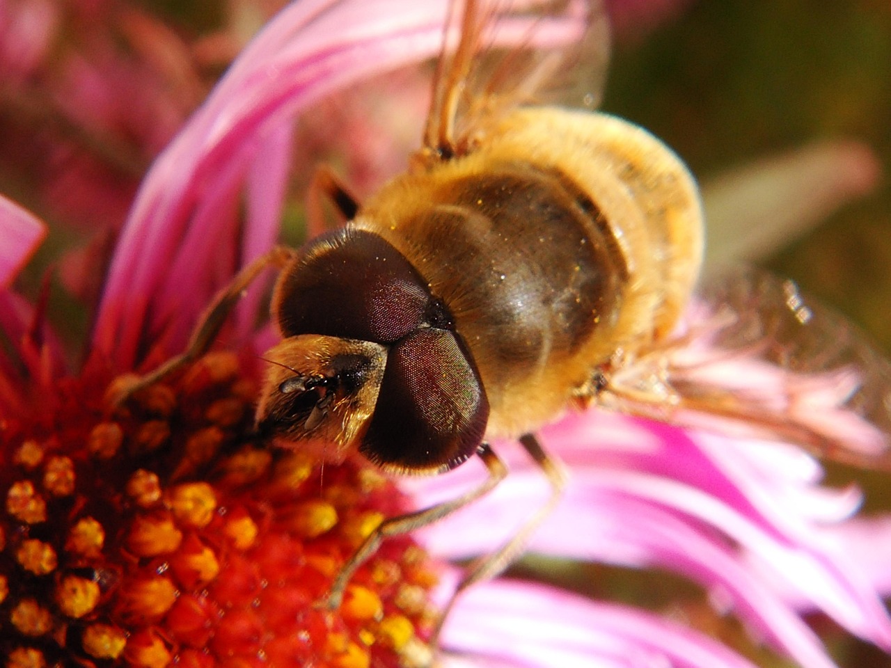 XX月28日全球疫情综述,最新动态、挑战及应对之道