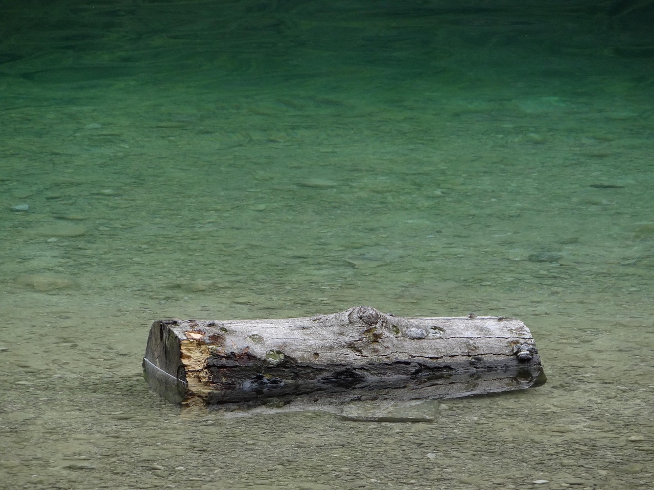 袁隆平,稻田追梦人,科学精神的践行者专访视频曝光