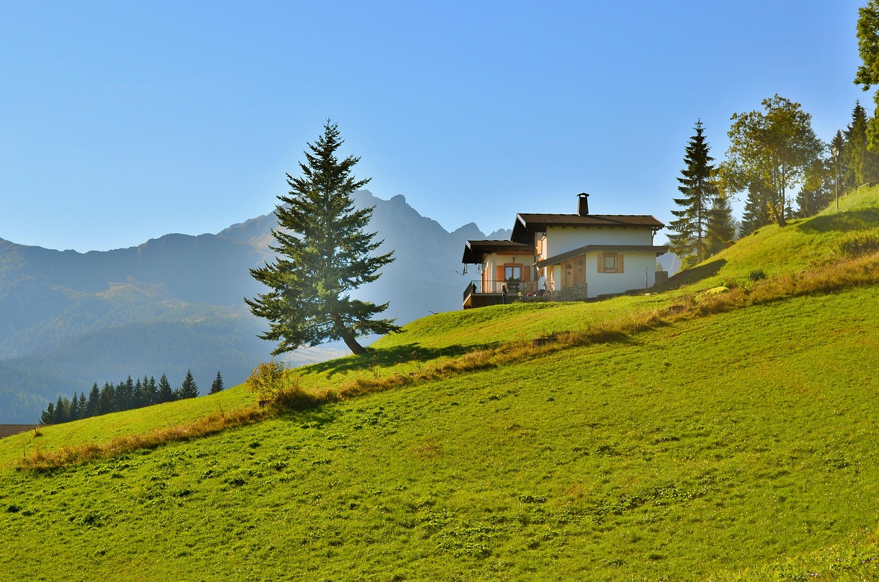 弈城五段最新动态,围棋界的瞩目焦点