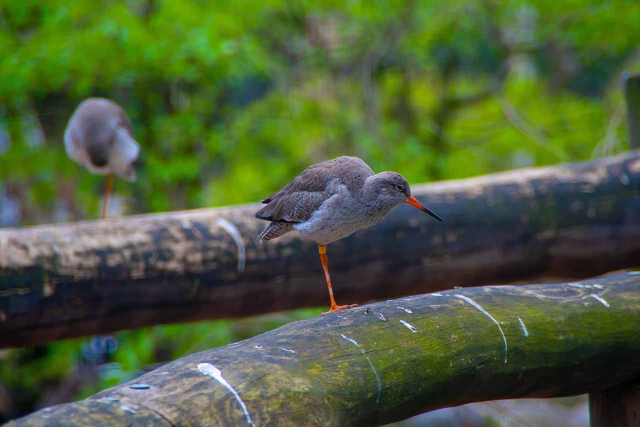 学校疫情最新情况报告,最新动态与防控进展