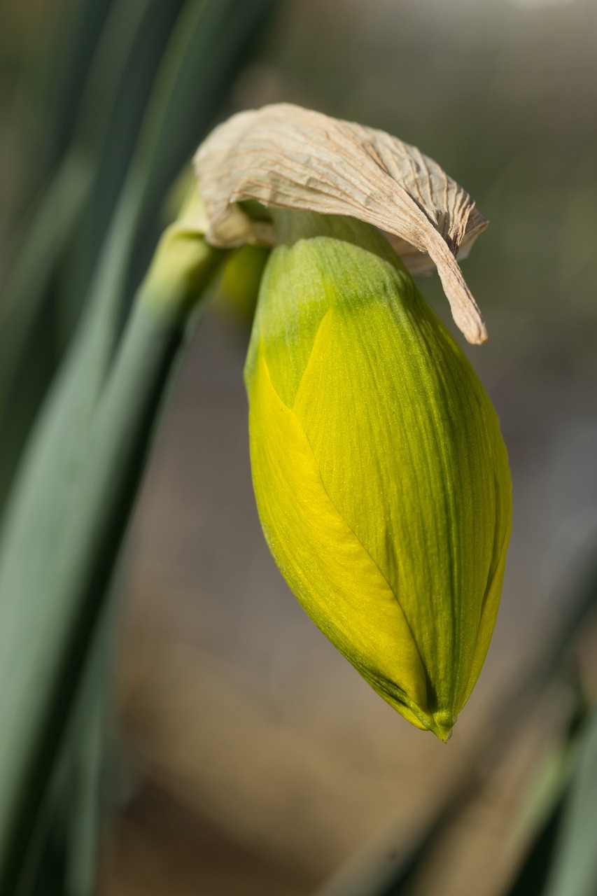 锦江厂贴吧最新动态深度解析与探讨
