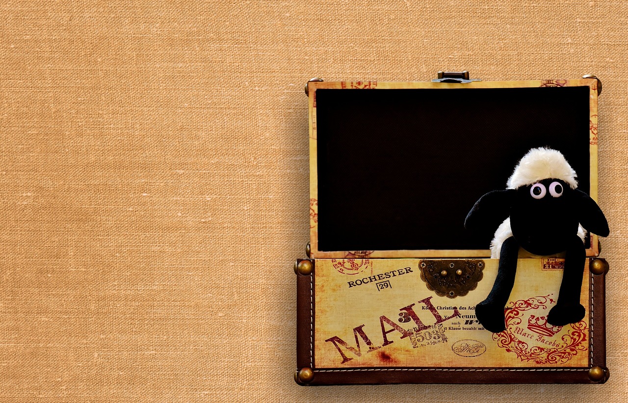 探索数字宝藏,最新资源Box资源盒子揭秘