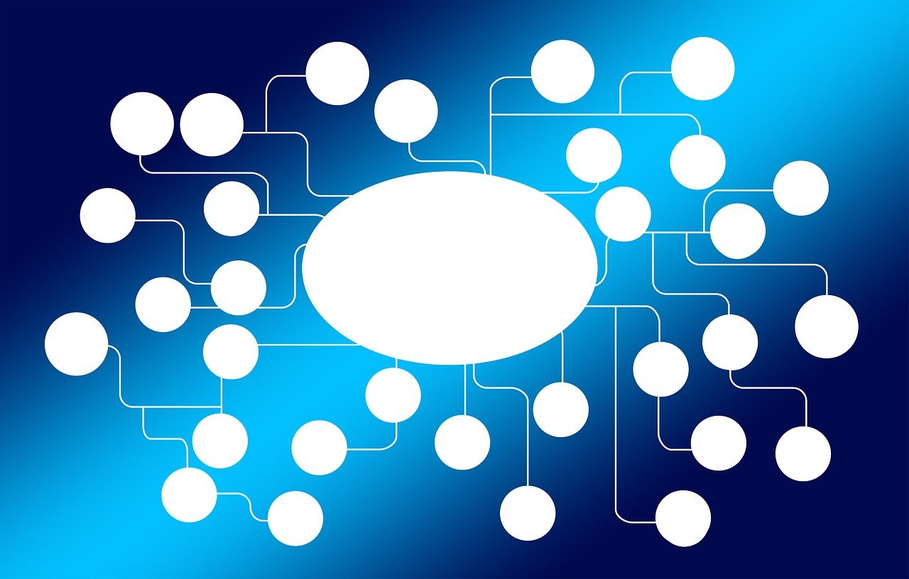 印度最新美国疫情消息,全球视角下的疫情动态与影响